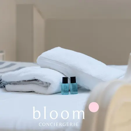 Loft Independant Avec Parking Prive Nancy