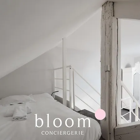 Loft Independant Avec Parking Prive Apartamento *