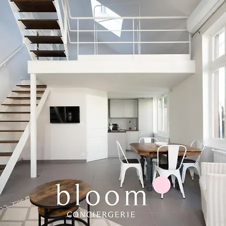 Loft Independant Avec Parking Prive Nancy