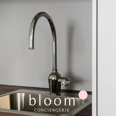 Loft Independant Avec Parking Prive Nancy