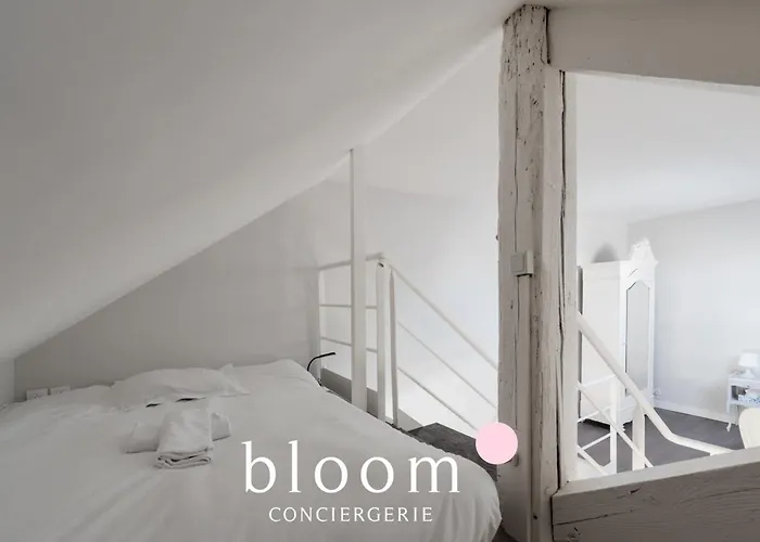 Loft Independant Avec Parking Prive Apartment *