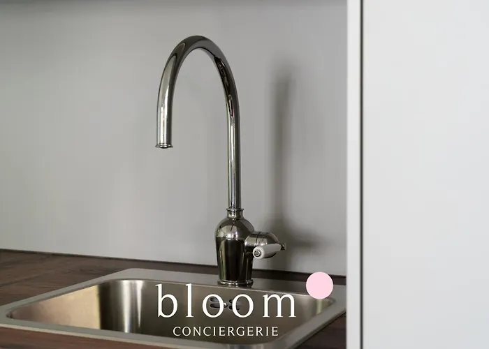 Loft Independant Avec Parking Prive Nancy